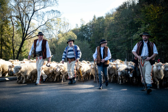 Redyk w Szczawnicy w 2021 r.