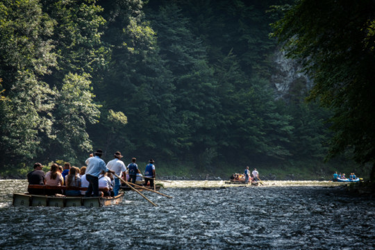 Flisacy podczas spływu Dunajcem