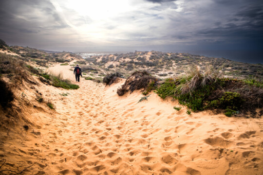 Portugal's Sandy dunes.