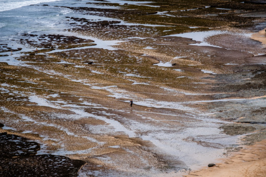 Surfer on the beach.