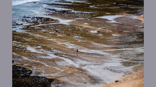 Surfer on the beach.