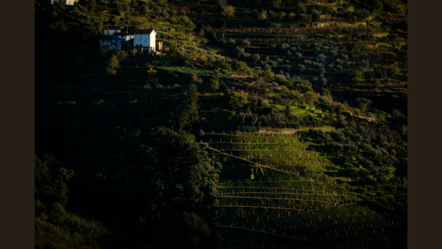 Duoro valley at sunset.