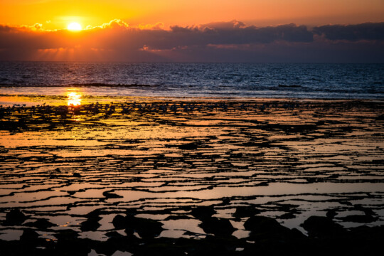 Portugal's Atlantic Ocean's beach at sunset