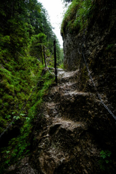 Górski szlak w dolinie Juraniowej