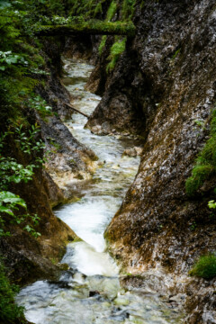 Górski potok w dolinie Juraniowej