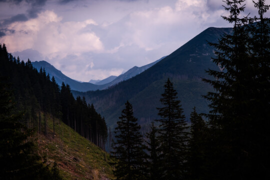 Dolina Chochołowska