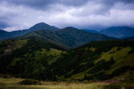 Widok z Grzesia / Lucnej