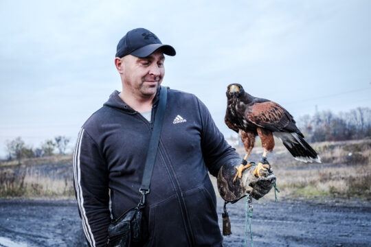 Copyright: Agnieszka Budzyńska Pan z Jastrzębiem