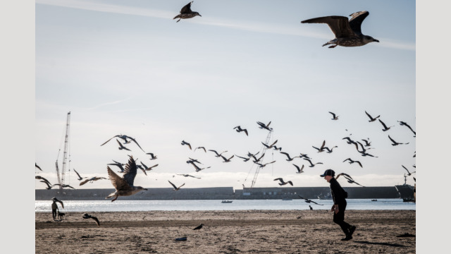 Copyright: Agnieszka Budzyńska Dziecko biegające po plaży w Porto