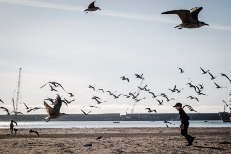 Copyright: Agnieszka Budzyńska Dziecko biegające po plaży w Porto