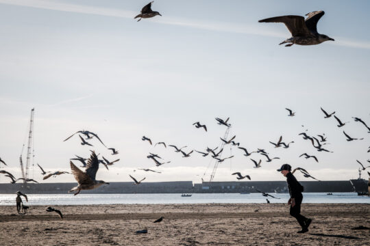 Copyright: Agnieszka Budzyńska Dziecko biegające po plaży w Porto