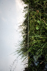 Copyright: Agnieszka Budzyńska Zdjęcie lustra i trawy