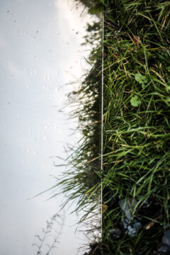 Copyright: Agnieszka Budzyńska Zdjęcie lustra i trawy