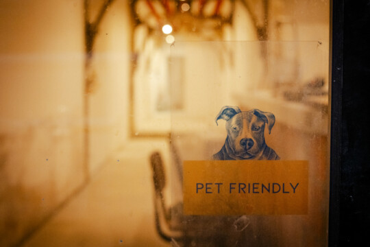 Znak na drzwiach "pet's friendly"