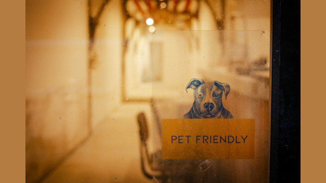 Znak na drzwiach "pet's friendly"