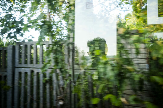 cień człowieka na tle zielonej ściany