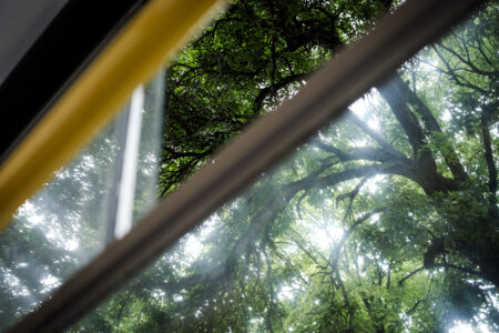 Copyright: Agnieszka Budzyńska Widok przez uchylone okno