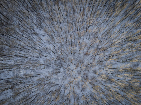 Zima na Ajsce styczeń '26